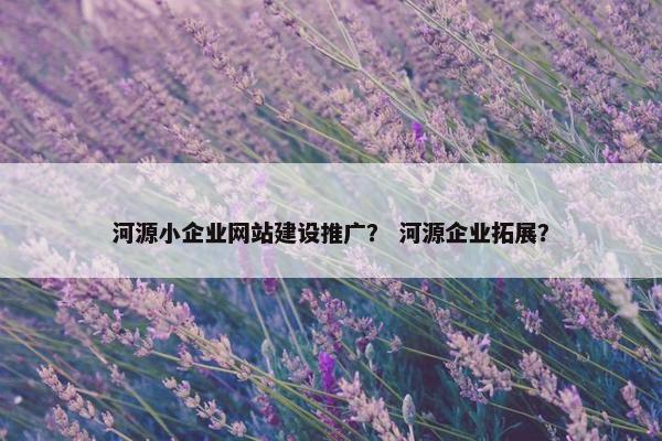 河源小企业网站建设推广？ 河源企业拓展？