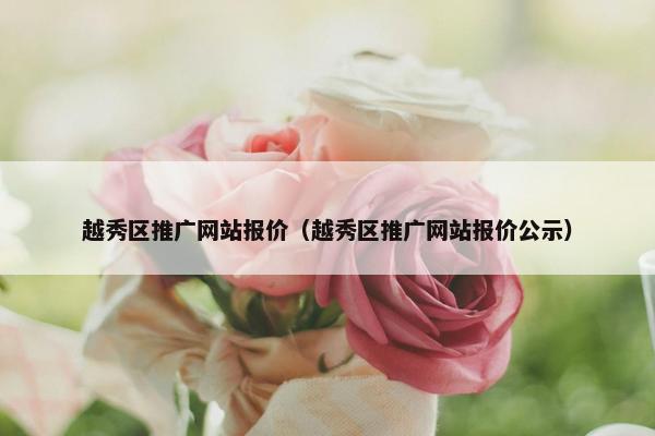 越秀区推广网站报价（越秀区推广网站报价公示）
