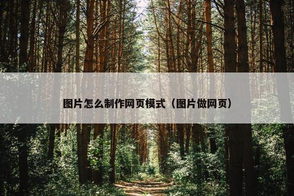 图片怎么制作网页模式（图片做网页）