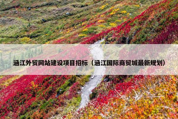 涵江外贸网站建设项目招标（涵江国际商贸城最新规划）