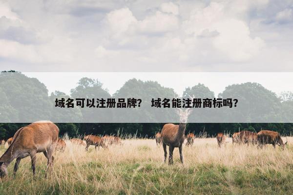 域名可以注册品牌？ 域名能注册商标吗？