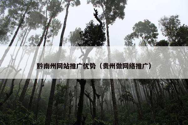 黔南州网站推广优势（贵州做网络推广）