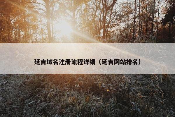 延吉域名注册流程详细（延吉网站排名）