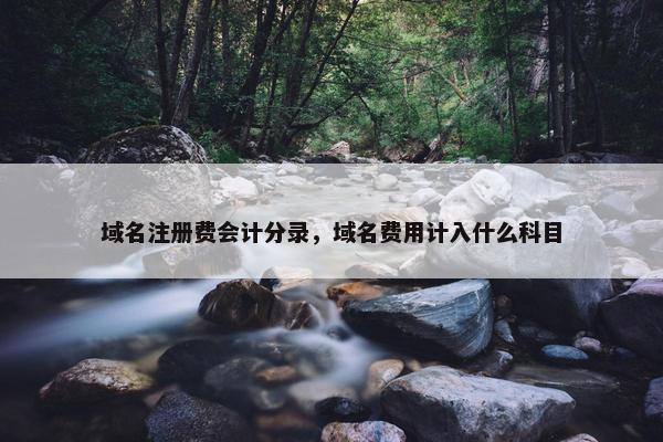 域名注册费会计分录，域名费用计入什么科目
