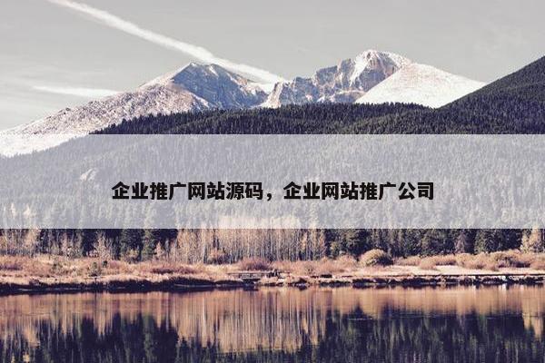 企业推广网站源码，企业网站推广公司