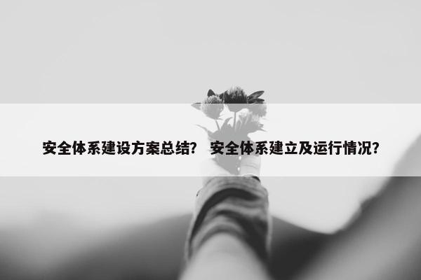 安全体系建设方案总结？ 安全体系建立及运行情况？