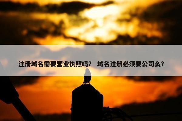 注册域名需要营业执照吗？ 域名注册必须要公司么？