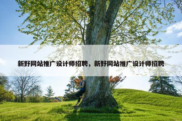 新野网站推广设计师招聘，新野网站推广设计师招聘