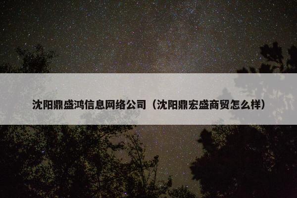 沈阳鼎盛鸿信息网络公司（沈阳鼎宏盛商贸怎么样）