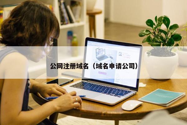 公网注册域名（域名申请公司）