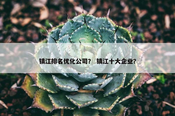 镇江排名优化公司？ 镇江十大企业？