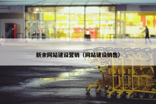 新余网站建设营销（网站建设销售）