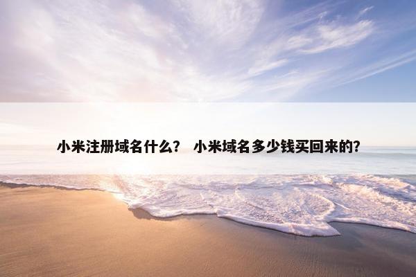 小米注册域名什么？ 小米域名多少钱买回来的？