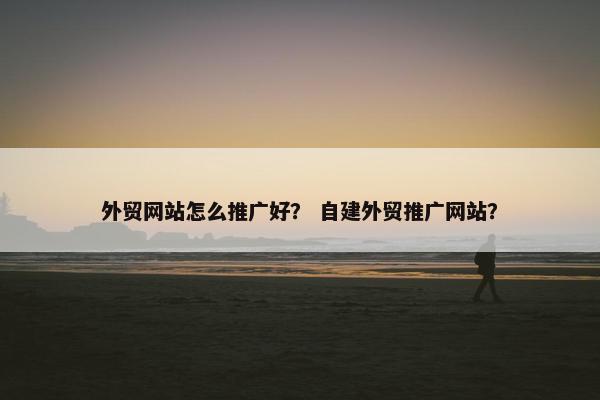 外贸网站怎么推广好？ 自建外贸推广网站？