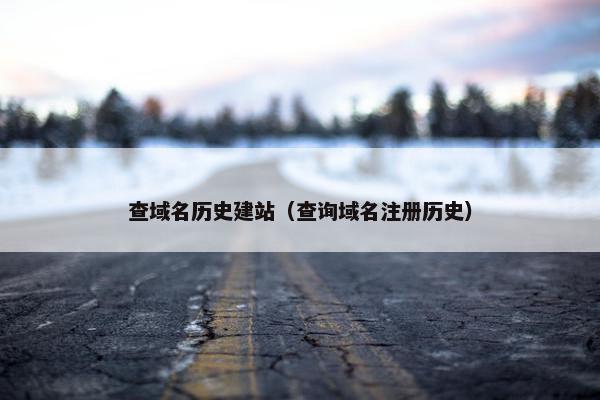 查域名历史建站（查询域名注册历史）
