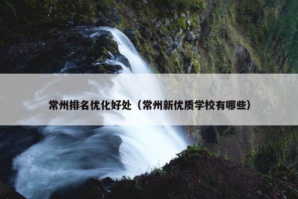 常州排名优化好处（常州新优质学校有哪些）