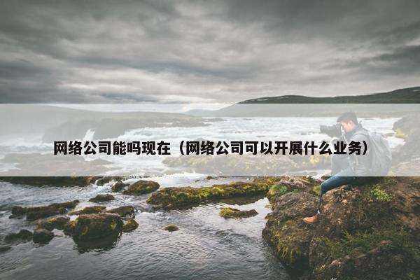 网络公司能吗现在（网络公司可以开展什么业务）