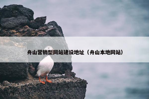 舟山营销型网站建设地址（舟山本地网站）