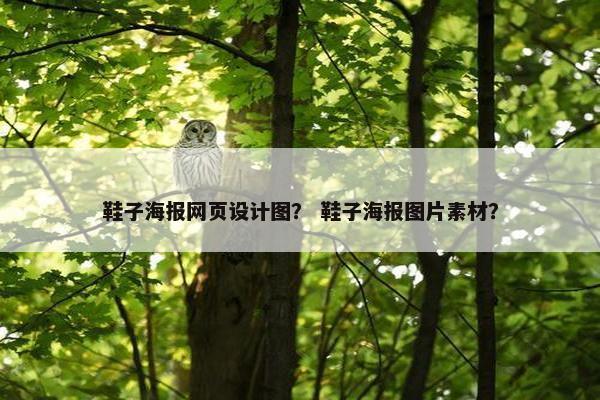鞋子海报网页设计图？ 鞋子海报图片素材？