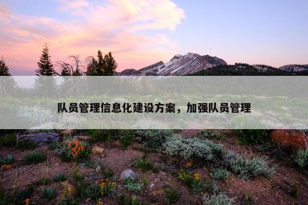 队员管理信息化建设方案，加强队员管理