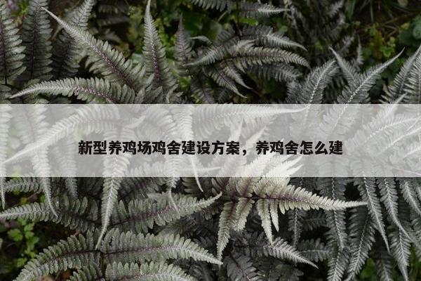 新型养鸡场鸡舍建设方案，养鸡舍怎么建