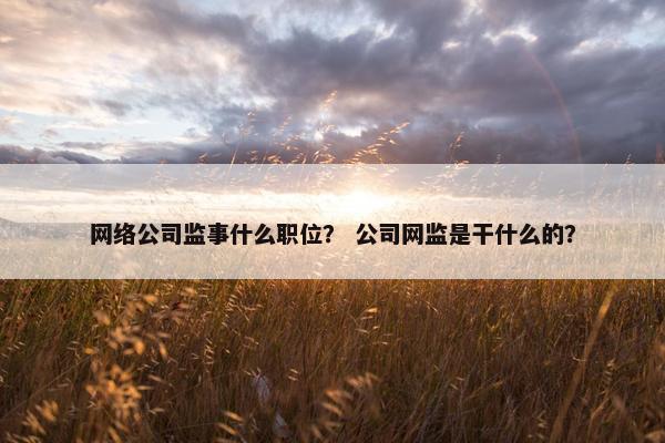 网络公司监事什么职位？ 公司网监是干什么的？