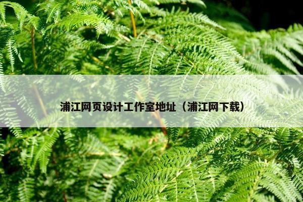 浦江网页设计工作室地址（浦江网下载）