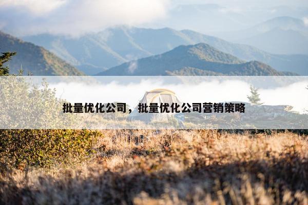 批量优化公司，批量优化公司营销策略