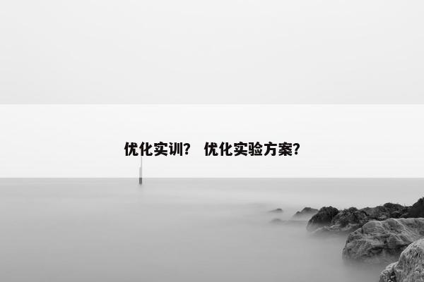 优化实训？ 优化实验方案？
