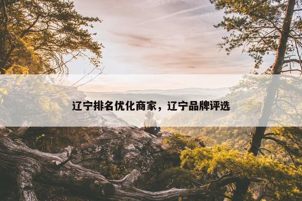 辽宁排名优化商家，辽宁品牌评选