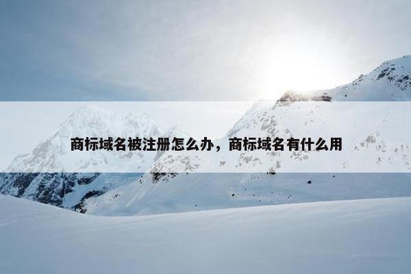 商标域名被注册怎么办，商标域名有什么用