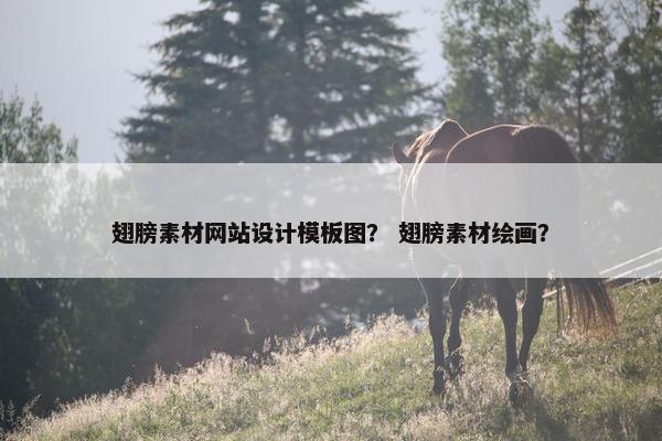 翅膀素材网站设计模板图？ 翅膀素材绘画？
