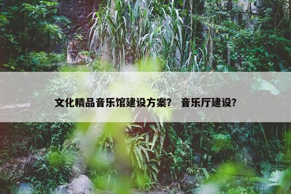 文化精品音乐馆建设方案？ 音乐厅建设？