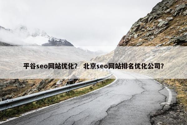 平谷seo网站优化？ 北京seo网站排名优化公司？