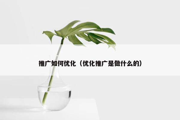推广如何优化（优化推广是做什么的）