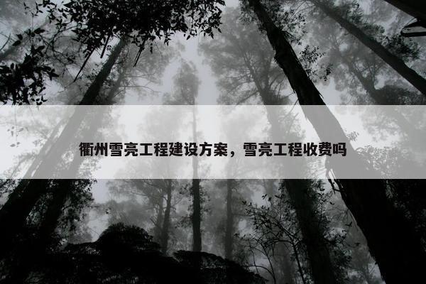 衢州雪亮工程建设方案，雪亮工程收费吗