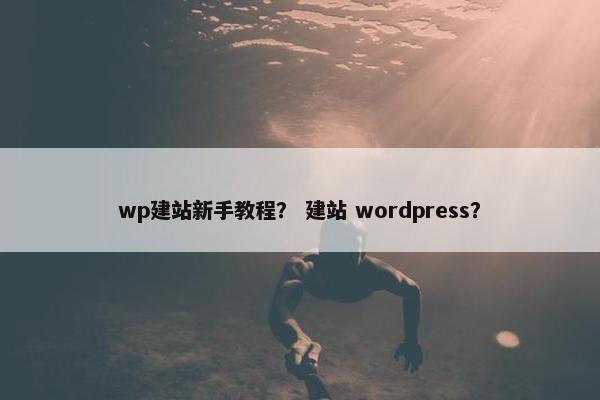 wp建站新手教程？ 建站 wordpress？