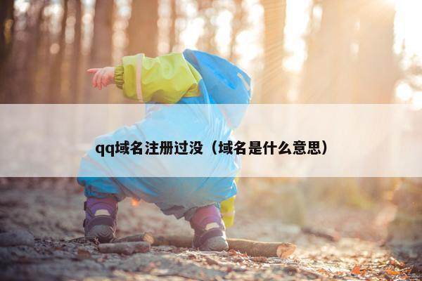 qq域名注册过没（域名是什么意思）