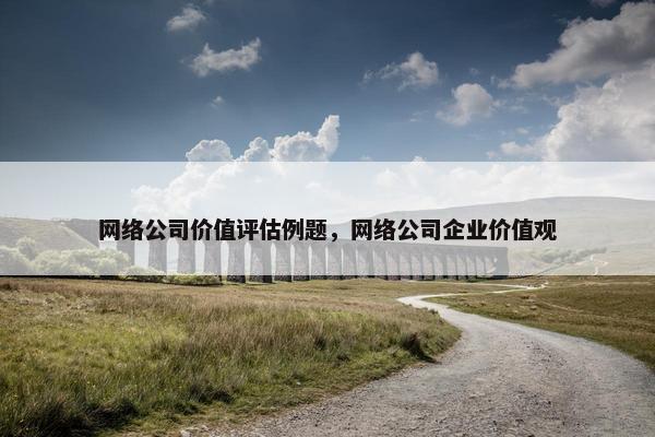 网络公司价值评估例题，网络公司企业价值观