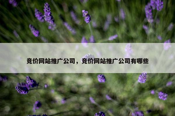 竞价网站推广公司，竞价网站推广公司有哪些
