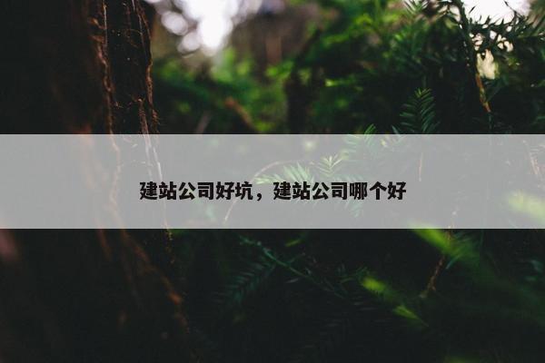 建站公司好坑，建站公司哪个好