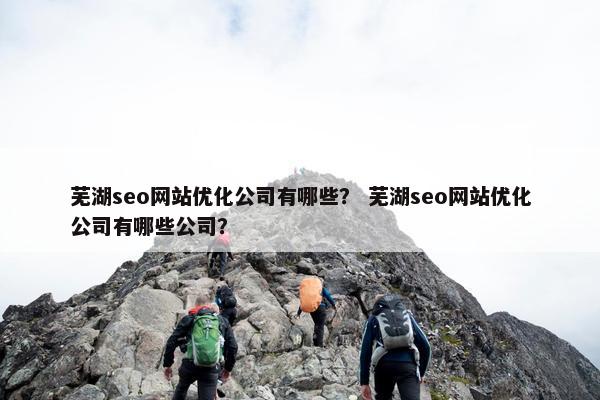 芜湖seo网站优化公司有哪些？ 芜湖seo网站优化公司有哪些公司？