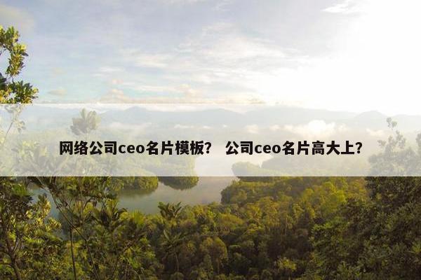 网络公司ceo名片模板？ 公司ceo名片高大上？