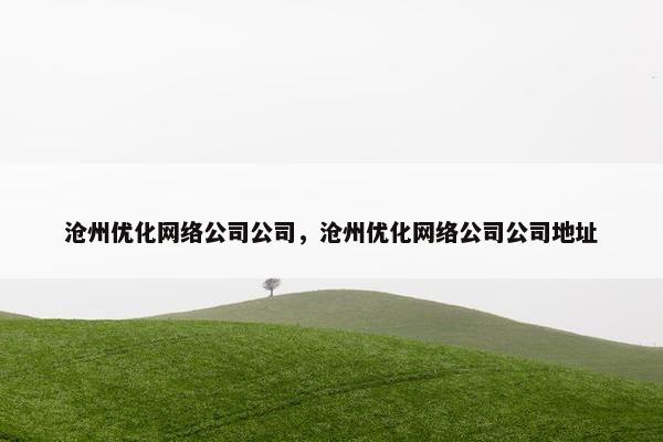 沧州优化网络公司公司，沧州优化网络公司公司地址