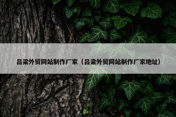 吕梁外贸网站制作厂家（吕梁外贸网站制作厂家地址）