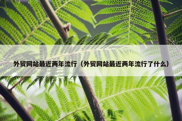 外贸网站最近两年流行（外贸网站最近两年流行了什么）