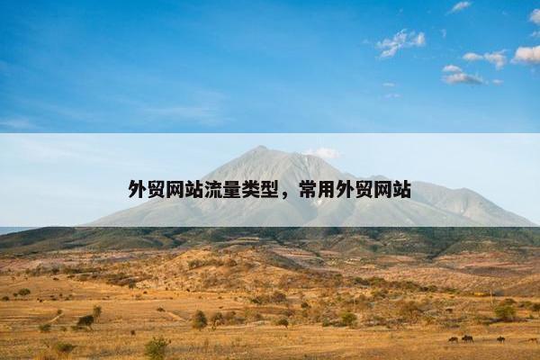 外贸网站流量类型，常用外贸网站