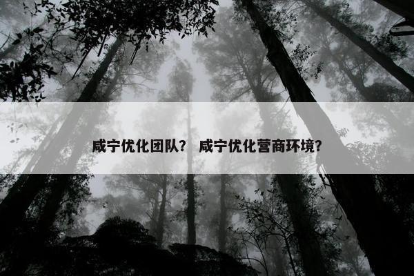 咸宁优化团队？ 咸宁优化营商环境？