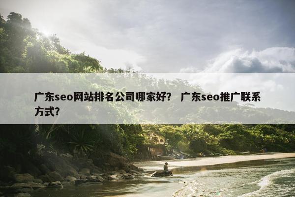 广东seo网站排名公司哪家好？ 广东seo推广联系方式？