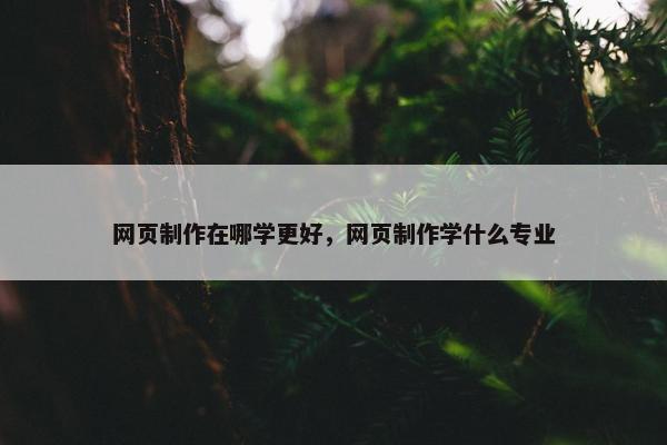 网页制作在哪学更好，网页制作学什么专业